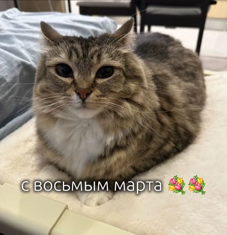 Я ушла со сквада Я ушла со сквада