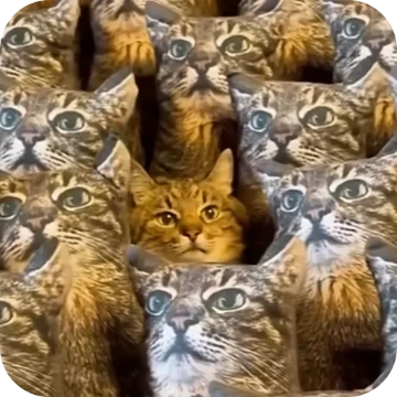 Катавасия лучший стикер ааааааааааааааааааааааааааааааааааааааааааааааааааааааааааааааааааааааааааааааааааа
