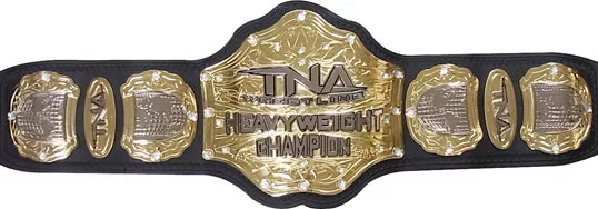 + чемпионы мира NWA (2002-2007)