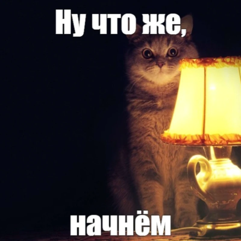 Кот готов к хэллоуину. Кот готов к хэллоуину.
