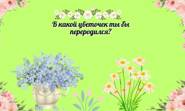 Подобного теста такого не увидела. Но есть тест такой: Кем бы ты хотел переродиться? у kipokrim. Тут тест, где ты в результате получишь цветочек, в который бы переродился. Пройди тест. Удачи~ 
