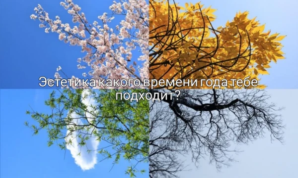 Давайте узнаем эстетика какого времени года больше подходит под вас. Всем хорошего и удачного прохождения, надеюсь эта эстетика совпадет с вашими ощущениями