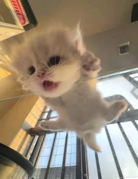 Хз)