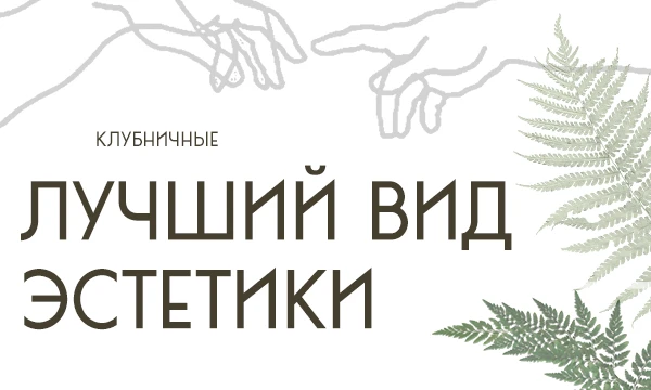 ✩｡:*•. That's totally my core... Эстетика — это поиск прекрасного в окружающем мире. Существует множество её разных видов, ну а вам лишь остаётся выбрать самый прекрасный! .•*:｡✩