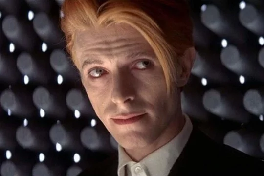 Этот тест смогут пройти лишь истинные фанаты Davida Bowie