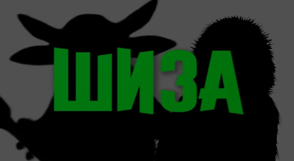 Повсюду мягкие стены. Отсюда надо сбежать. Отсюда срочно нужно сбежать. Я не знаю, что зовёт меня, но мне точно тут не место.