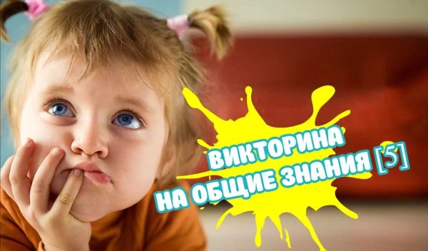 На этот раз 40 вопросов - и каждый из них на определенную неповторяющуюся тему. Сможете ли вы ответить на всё?