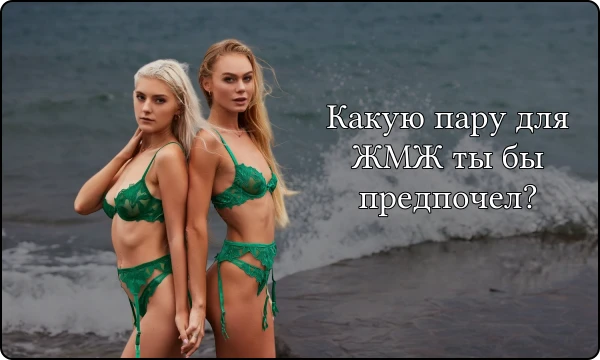 Жмж 24