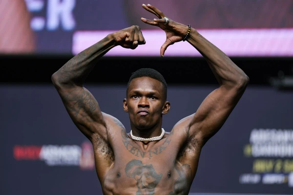 в данном турнире можно выбрать самого тупого бойца в ufc. здесь будут только  бойцы из мужского ростера ufc