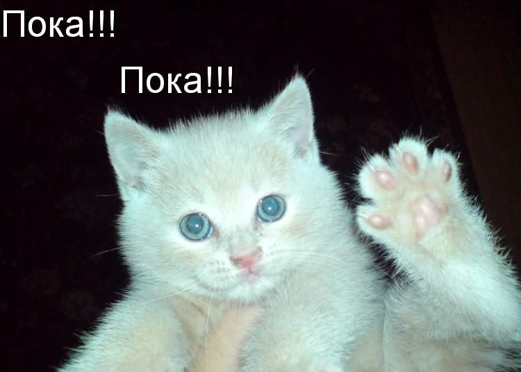 Лето. нам пора прощаться=) Лето. нам пора прощаться=)