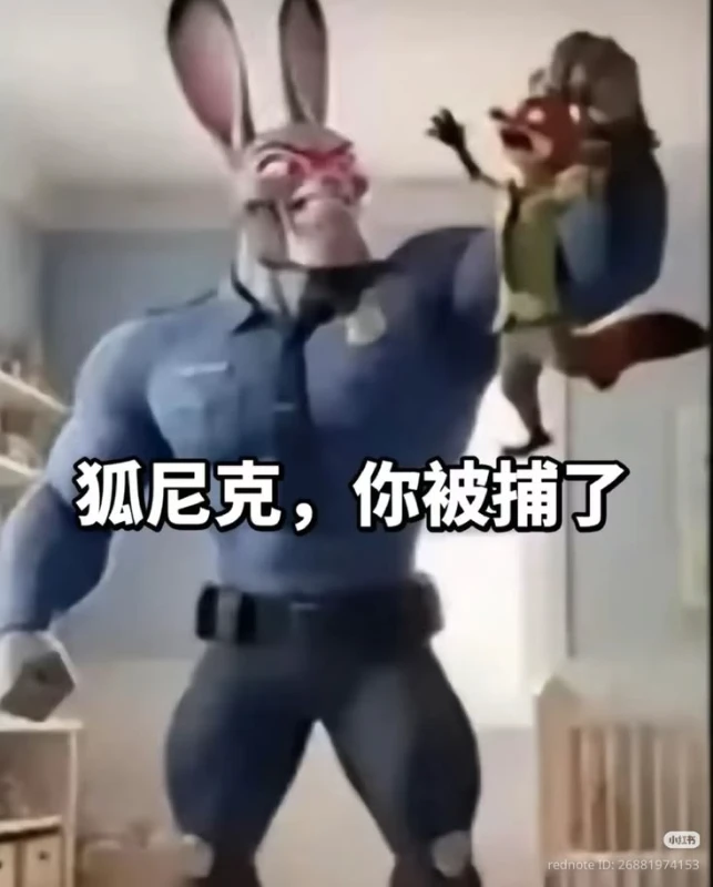 Джуди MOGC Джуди MOGC