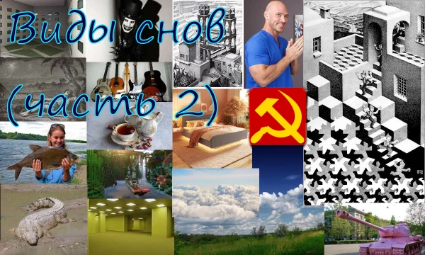 Эта часть конкретизирует тему структуры и восприятия. Сны отражают то, как именно вы мыслите, как мозг раскладывает и перекладывает опыт по полочкам и готовится к будущему. Исследуем ночную шизу?