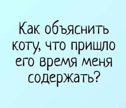 Турнир просто так, скучно стало. Выпустил турик, и снова скучно. А чтобы Вам не было так скучно, как мне, пройдите тест. Удачи и погнали)