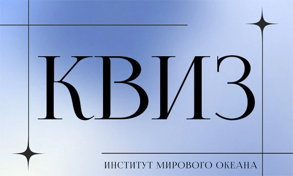 Институт Мирового Океана ДВФУ занимается изучением океанов и морей, проводя исследования в области океанологии, морской биологии, экологии и геофизики.