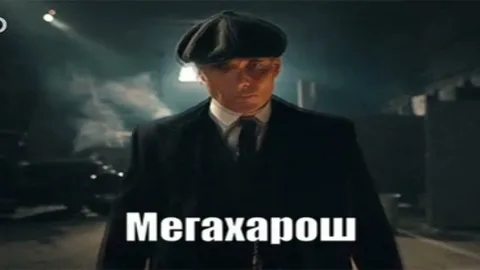 Крч всё, я самый популярный Крч всё, я самый популярный
