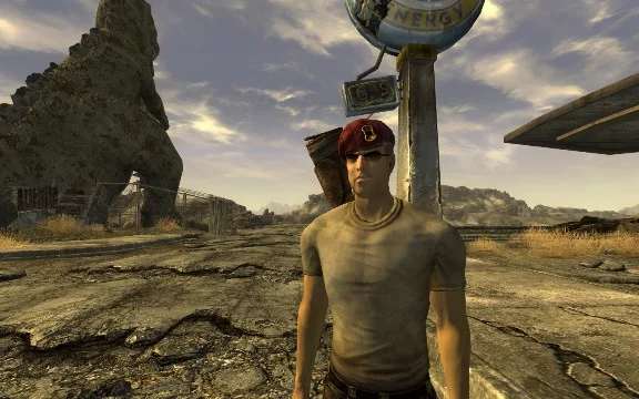 В этом турнире будут возможные спутники главных героев из Fallout 3, New Vegas и Fallout 4 с дополнениями. Выберите лучшего на свой взгляд компаньона из знаменитой серии игр.