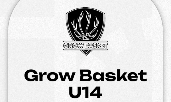 В этом тесте тебе придётся выбрать лучшую команду игр abl дивизиона U14.
Баскетбол — это популярная командная игра, цель которой — забросить мяч в корзину соперника, установленную на высоте 


 м, и н