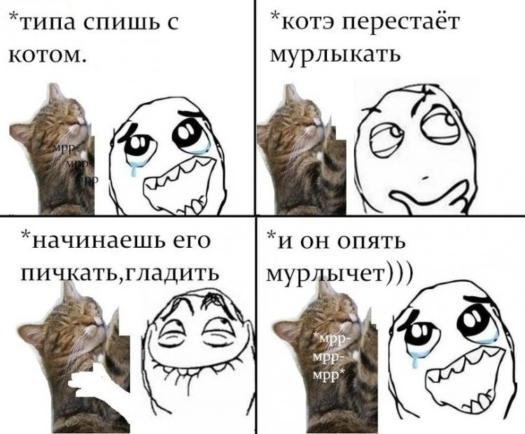 котэ котэ