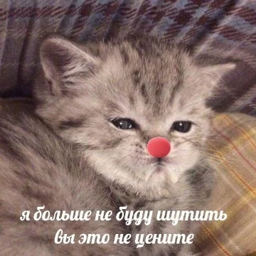 Здесь собралась солянка из моих сохранёнок. Говорят, что по сохранёнкам можно много узнать о человеке и примерно описать его...Так что, получается, душу вам открываю свою хд