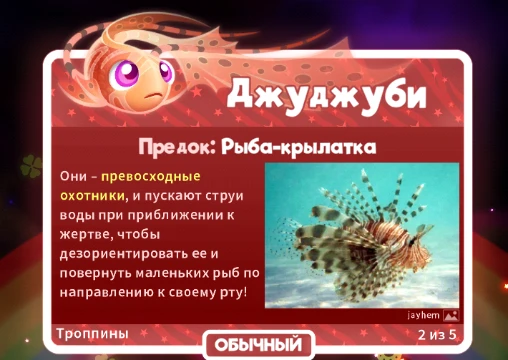  Какая ваша любимая суперзвёздная рыбка из игры superstarfish