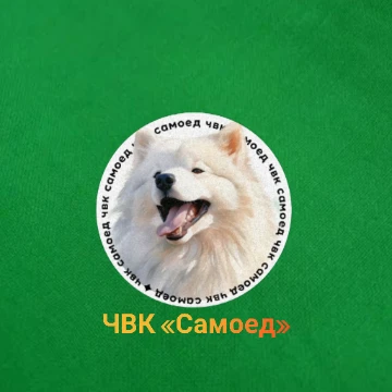 Здесь вам можно выбрать самый лучший сквад на сайте в 2024 году                                     