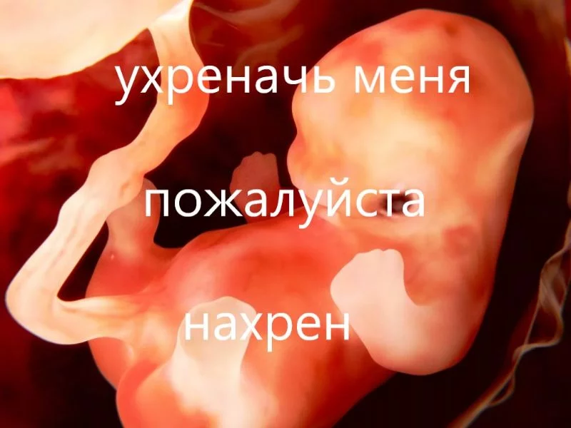 Ещё немного про аборты Ещё немного про аборты