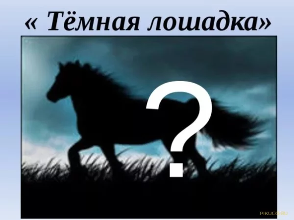 Некрасивая подружка темная лошадка содержание. Темная лошадка игра. Темная лошадка фразеологизм. Выражение темная лошадка. Темная лошадь фразеологизм.