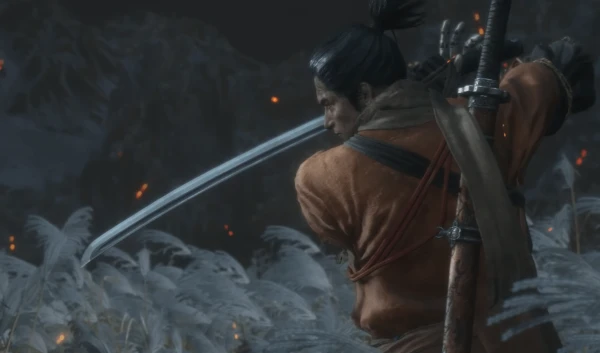 Тут собраны самые простые боссы из двух игр, а именно Elden Ring и Sekiro: Shadows Die Twice (16 боссов из каждой игры). В общем вам предстоит выбрать простейшего, приятного прохождения!