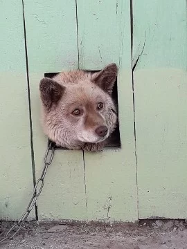 Выбирайте фотографию, которое вам понравилось больше