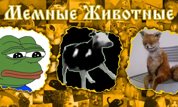 Школьные экзамены и сессия наконец позади, теперь можно заняться реально важными вещами. Проверь свои знания мемологии по теме животных!