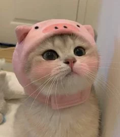поки💗 поки💗