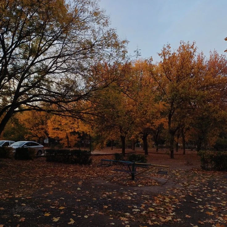Вот ещё картиночка 🍁 Вот ещё картиночка 🍁