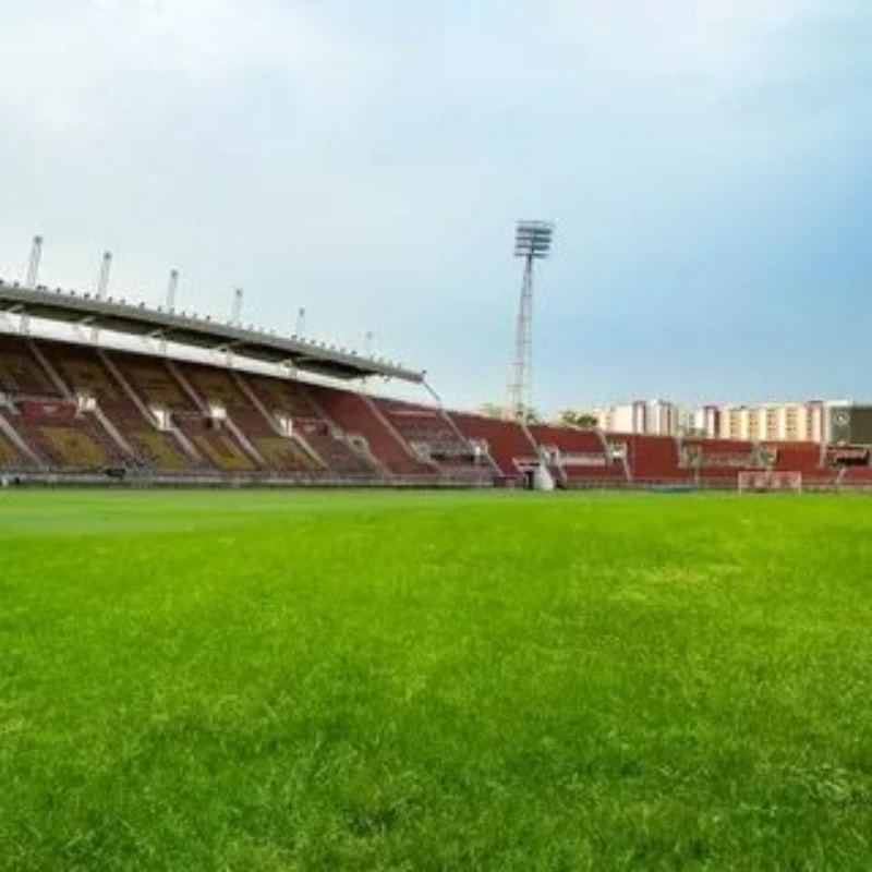 Стадион Стадион