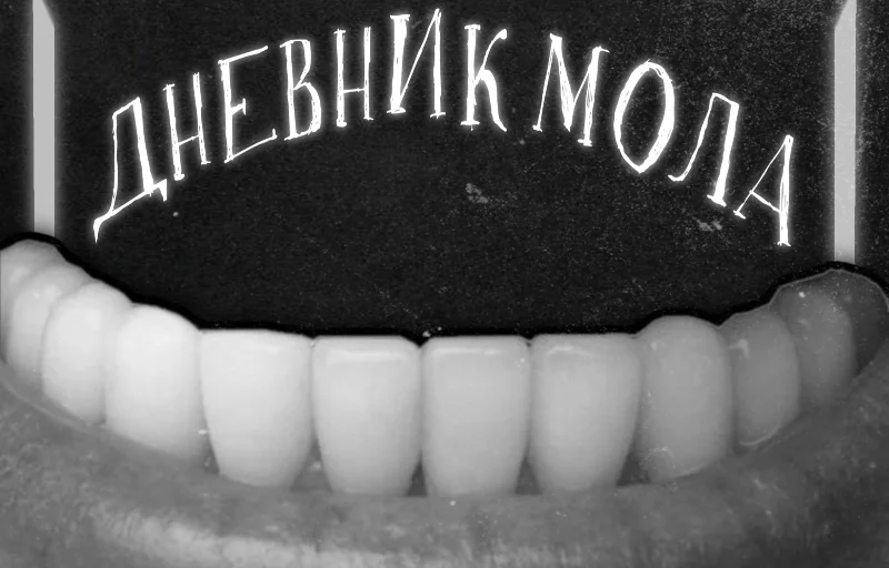 Дневник Мола | 12.05.2025 Дневник Мола | 12.05.2025