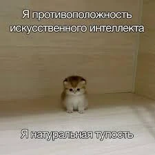 Бобер или Гагарин? А может быть Ляля? Или Гитлер? Определи, кто похож на тебя больше всего!