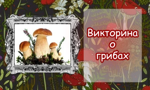 В этом тесте вы проверите свои знания о грибах. Сможете ли вы назвать какие-то особенности и вспомнить интересные факты? 🍄