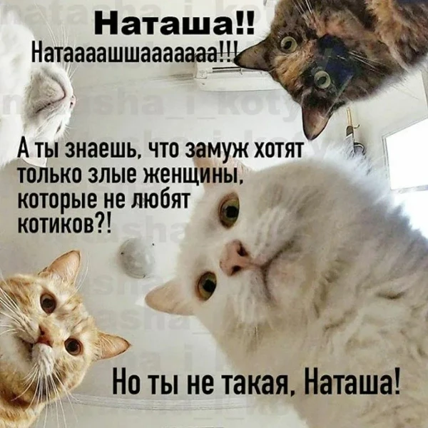 Выбираем лучшую песню про Наташу. В тесте собраны самые лучшие песни которые были посвящены Наташам, не лучшие в тест не вошли.