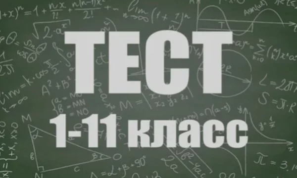 Тут вам предстоит ответить на 11 вопросов. Каждый из них взят из программы 1-11 классов. Они будут на абсолютно разные предметы, от геометрии до окружающего мира. Желаю удачи!