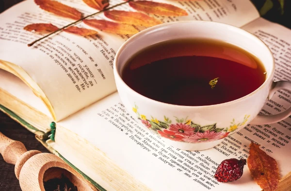 Решил поделиться своей маленькой книжной коллекцией и выяснить, какие книги аудитория считает лучшими. Не стал загружать все книги, есть много по сталкеру, а также неизвестных широкому кругу читателей