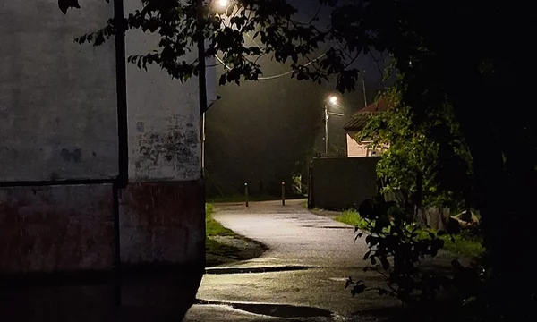 ты решаешь выйти на ночную прогулку которая вскоре превратится в настоящий кошмар                                     