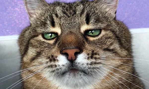 Приятных выходных ❤
