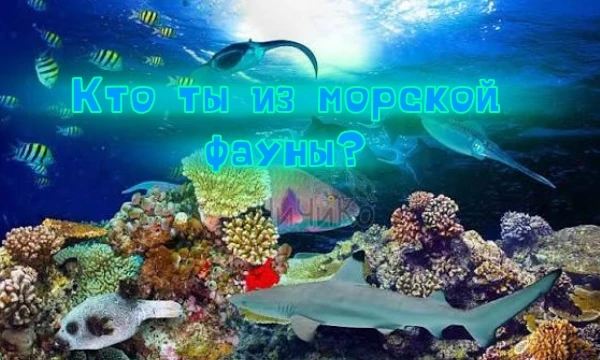 Буль-Буль, ребята, я вернулся из морского дна, чтобы сделать небольшой тест про ваше сходство с морскими животными. Надеюсь, что вам понравится. Не воспринимайте результат всерьез❗ 