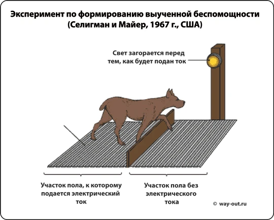 Мне надоел миф о рабском менталитете Мне надоел миф о рабском менталитете