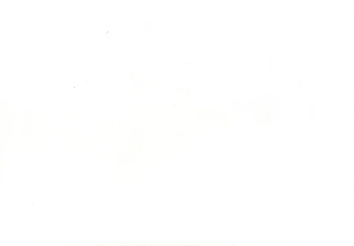Тест