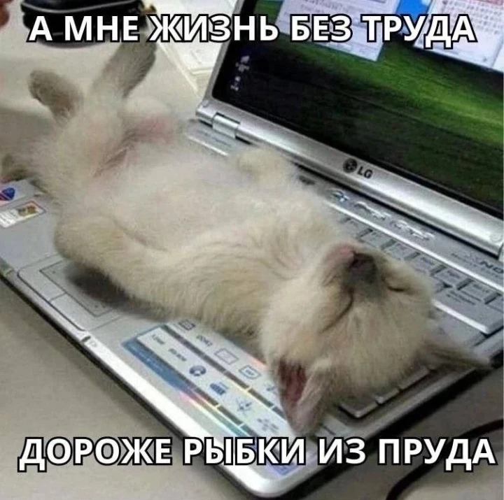 Как пользователи провели весну и учебный год? Как пользователи провели весну и учебный год?