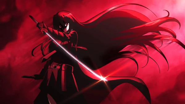 Тест по аниме Akame ga kill. Выберите свой любимый тейгу!