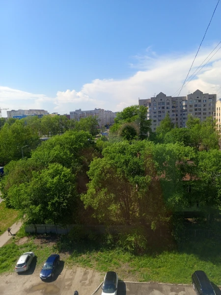 Сегодня ты узнаешь как хорошо ты знаешь мой аккаунт на пикуко.                                      