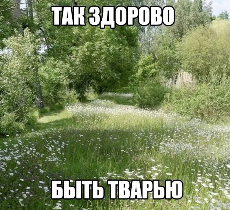Экзистенциальные картиночки как смысл жизни. Экзистенциальные картиночки как смысл жизни.