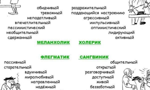 Есть 4 типа темперамента - сангвиник, меланхолик, холерик, флегматик. В этом тесте ты узнаешь свой тип из всех четырех. Удачи!