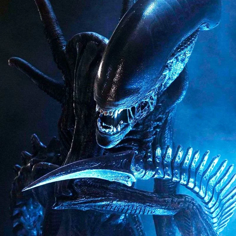 Появились детали нового фильма по вселенной «Чужого» для стриминга Hulu Появились детали нового фильма по вселенной «Чужого» для стриминга Hulu